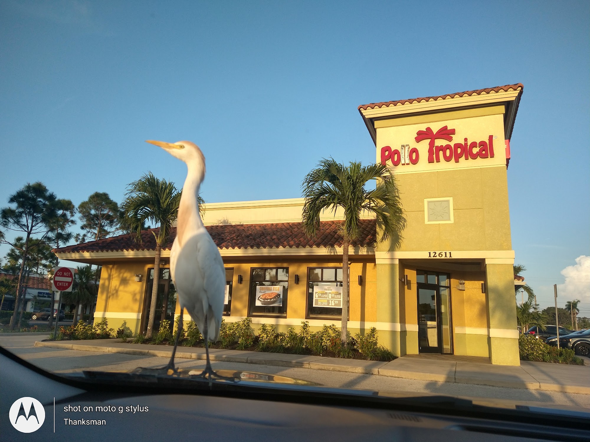 Pollo Tropical