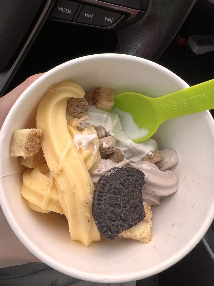 Menchie's Frozen Yogurt at Butler North-Gainesville, FL
