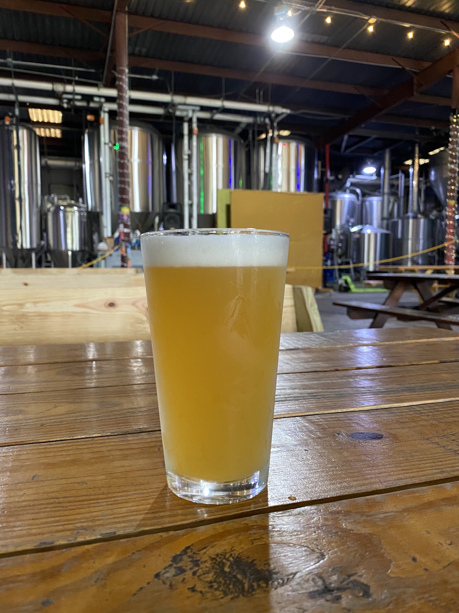 First Magnitude Brewing Company