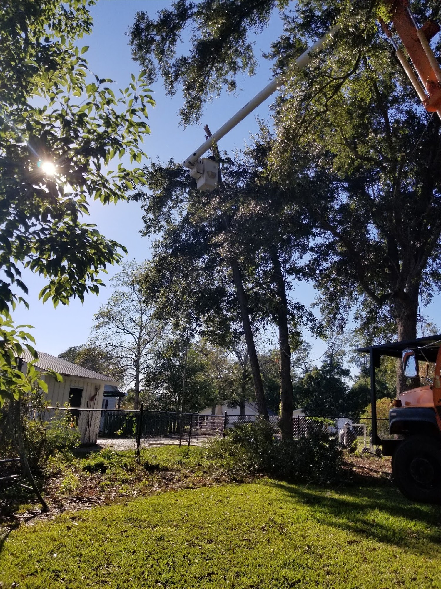 James & Son Tree and Crane Service 4022 Bryan St, Greenwood Florida 32443