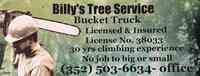 Billy's Tree Service