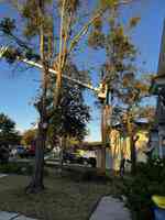 Forshee's Tree Service