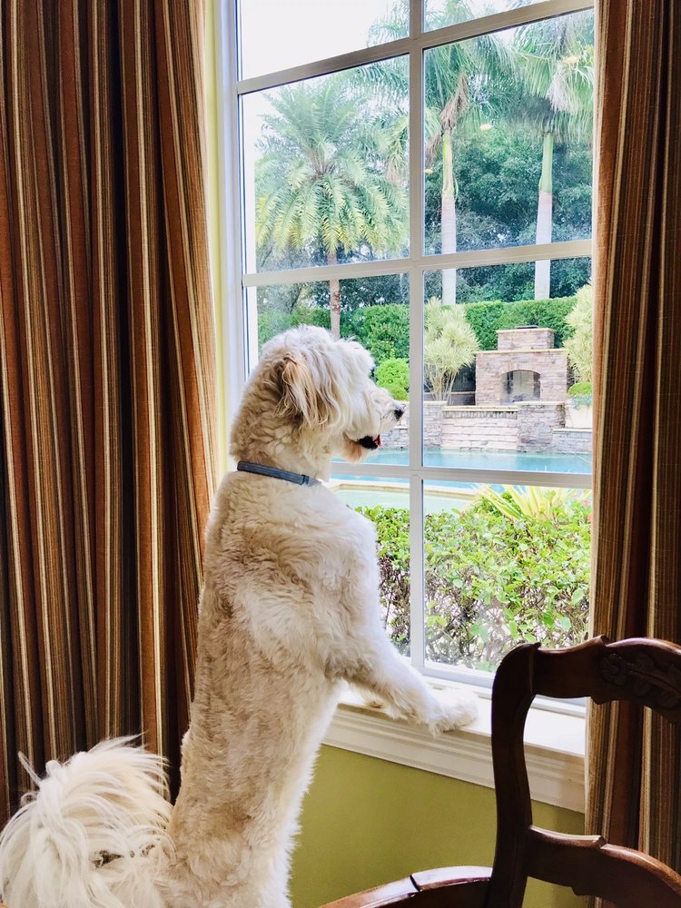 Savanna Animal Hospital Inc: Patricia Ries, DVM Jensen Beach