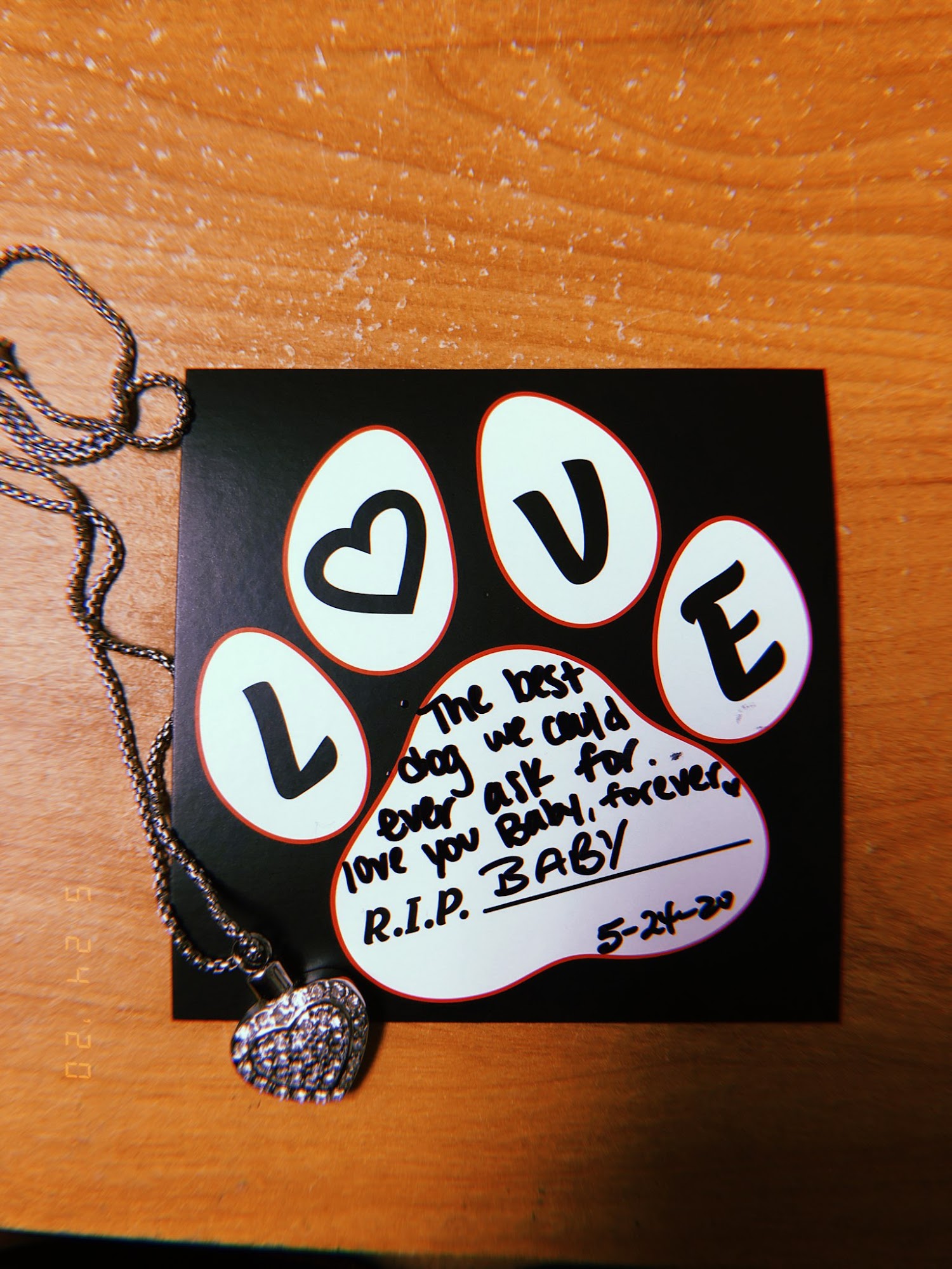 Pet Cremation of Kissimmee Kissimmee