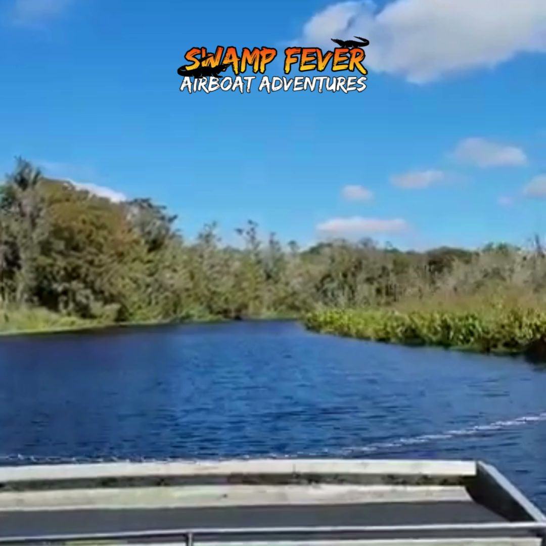 Swamp Fever Airboat Adventures 4110 NW 42nd Pl Lot 1, Lake Panasoffkee Florida 33538
