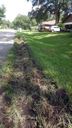 Cote's Septic Tank Services