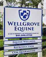 WellGrove Equine