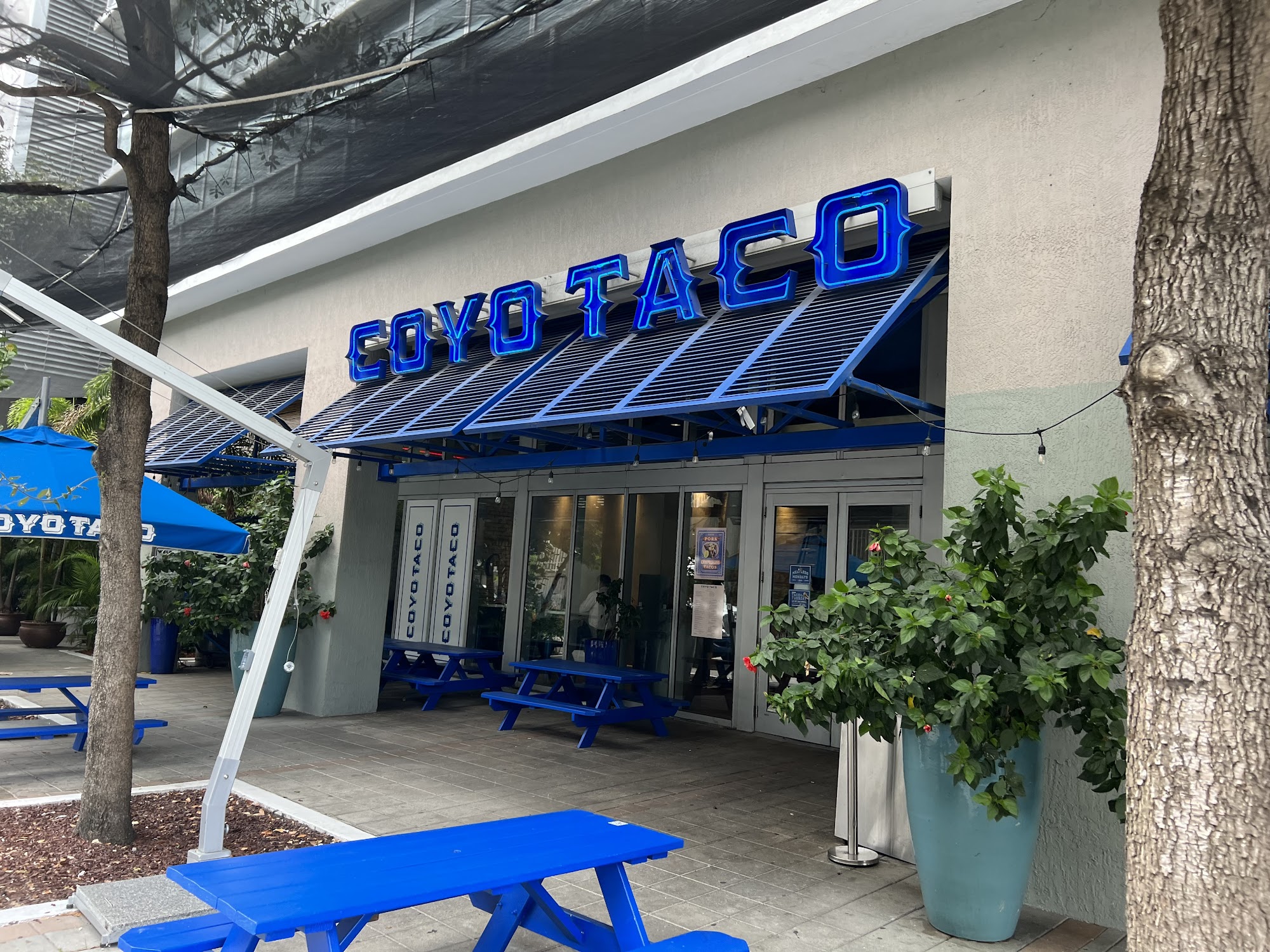 Coyo Taco