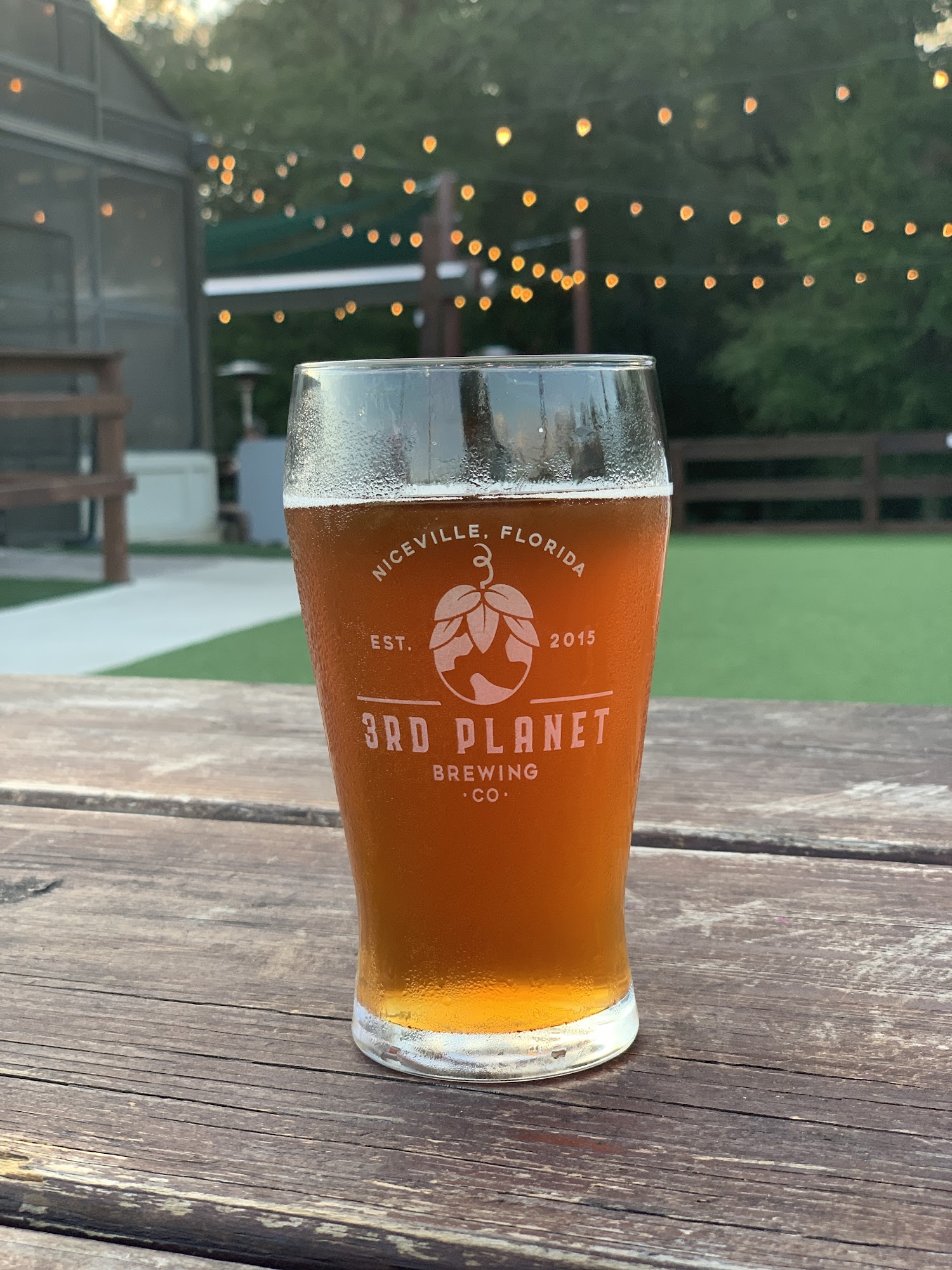 3rd Planet Brewing - The Mothership