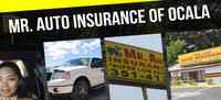 Mr Auto Insurance