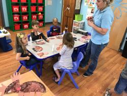 First Steps Education Preschool (Ocala)