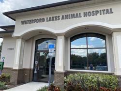 Waterford Lakes Animal Hospital: Bedon Emily DVM