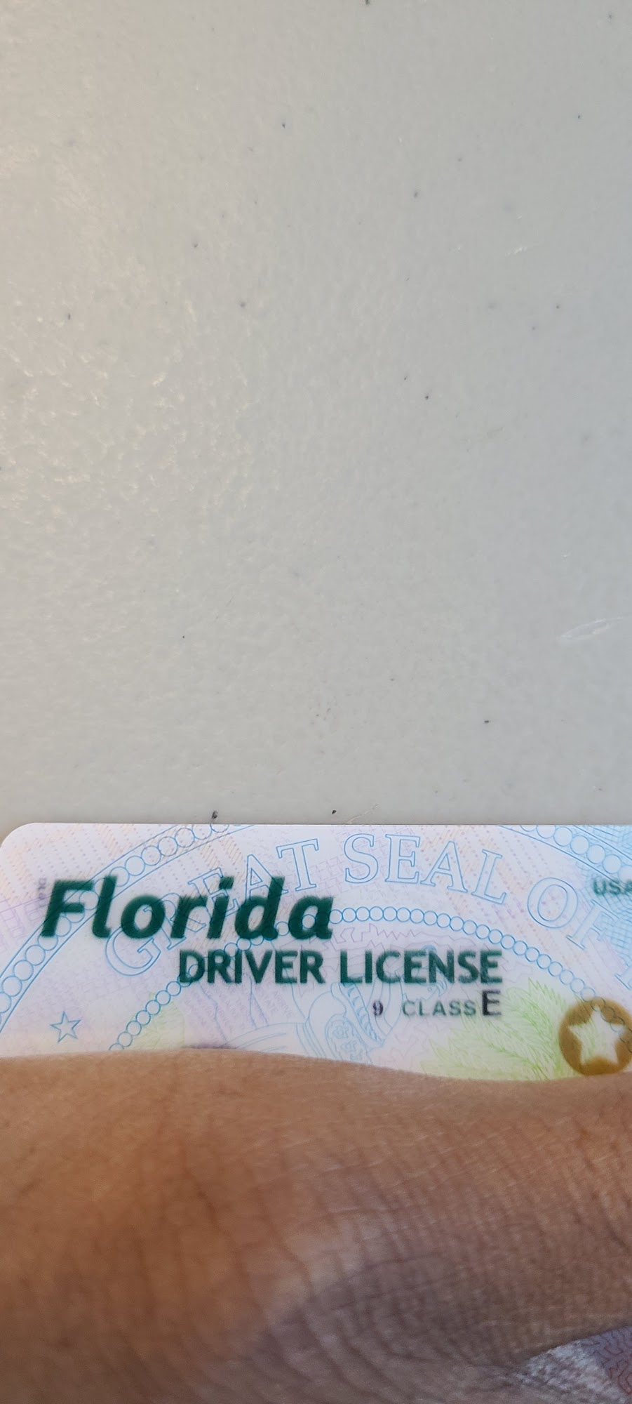 An American Driving School