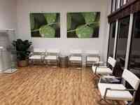 Medical Marijuana of Palm Beach