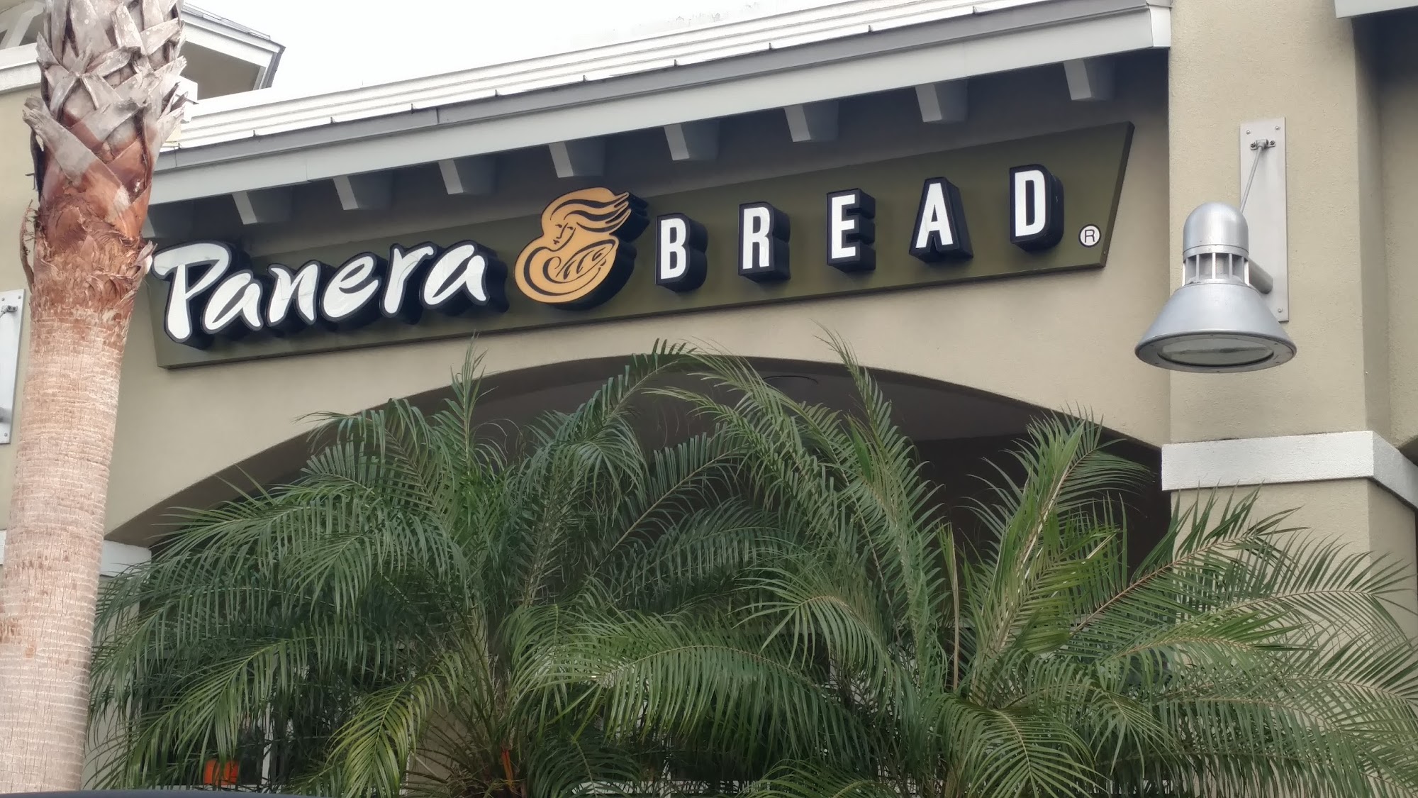 Panera Bread