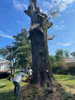 Gulf Coast Tree Specialists