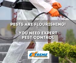 Extreme Termite and Pest Control