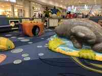 Broward Mall Kid's Play Area