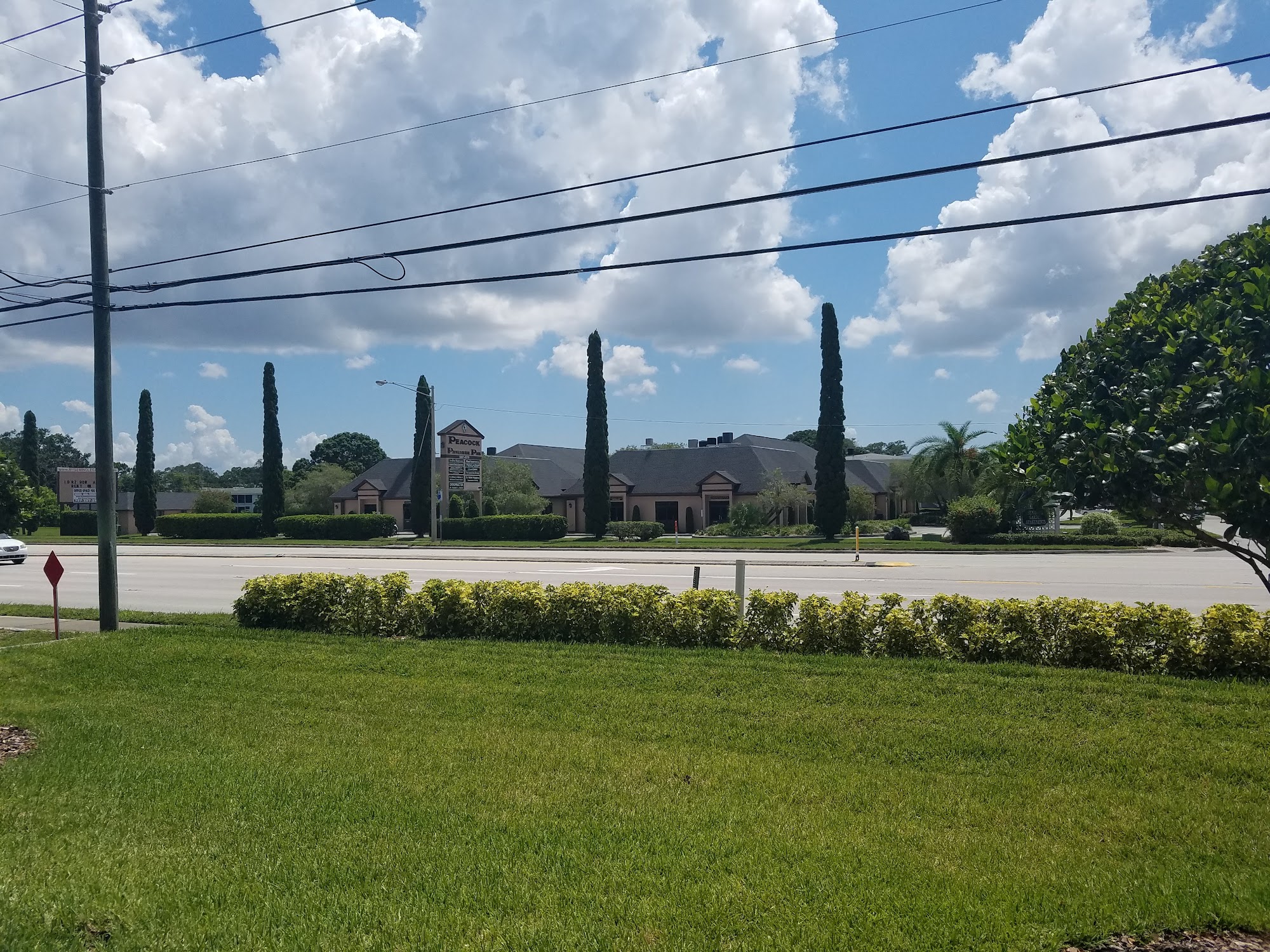 Seminole Chiropractic Wellness