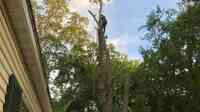 Buccaneer tree service llc