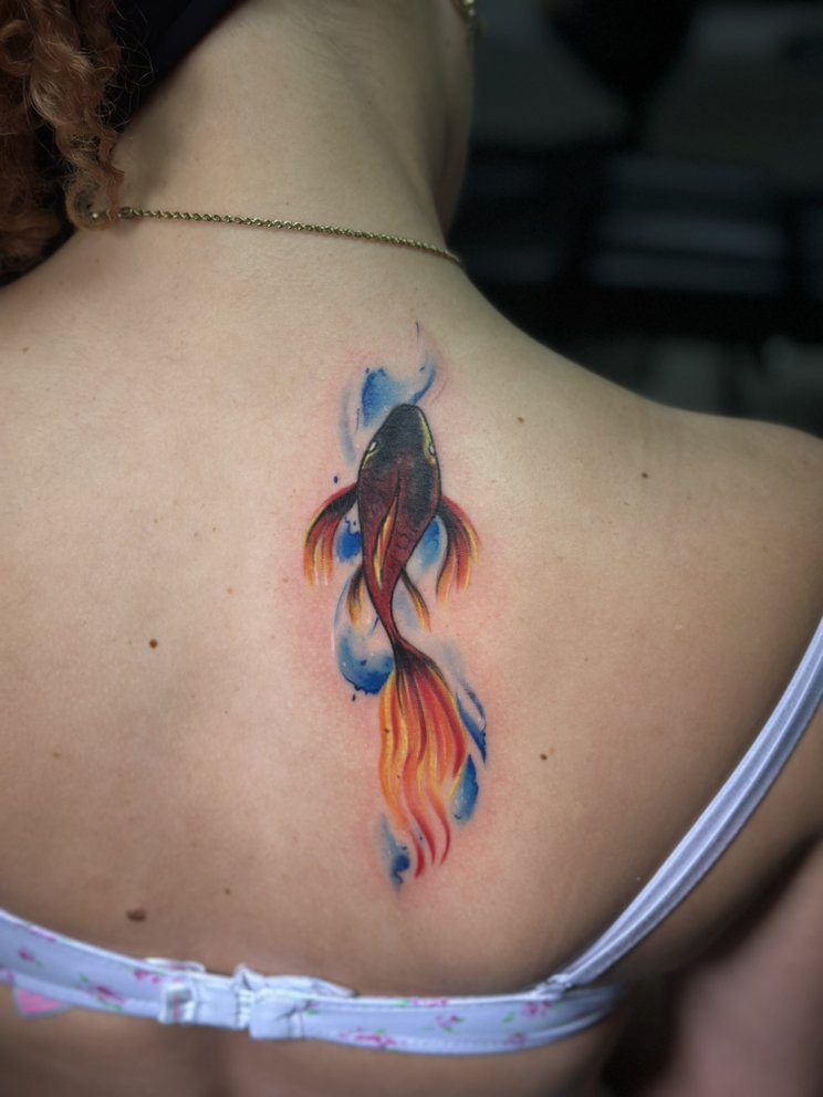 Photo credit: 