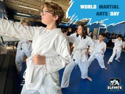 Elevate Martial Arts South Tampa