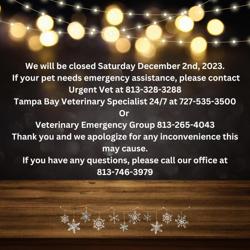 Gulf Coast Veterinary Center - Gunn Hwy