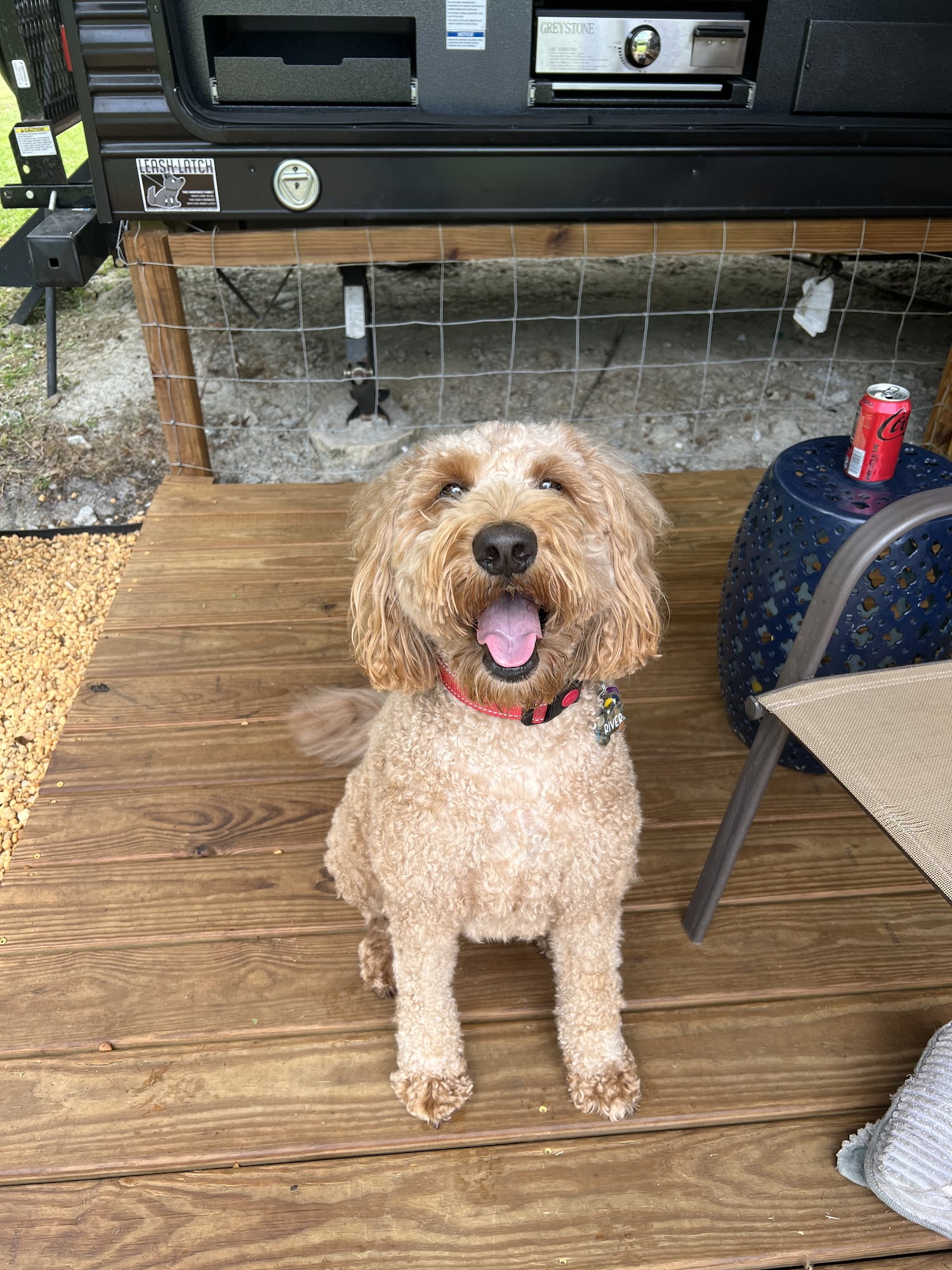 Pawprints of Vero Beach Vero Beach