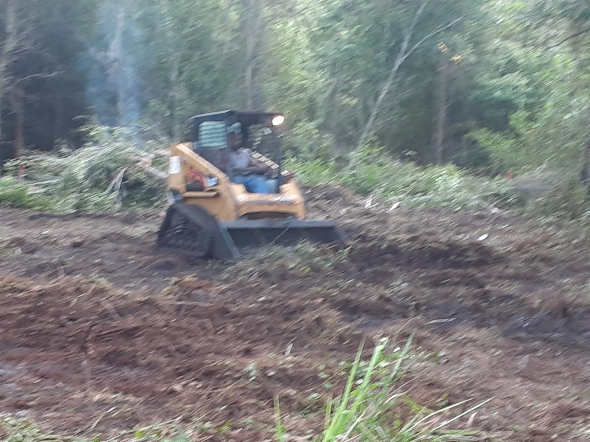 Christ First Tree Service