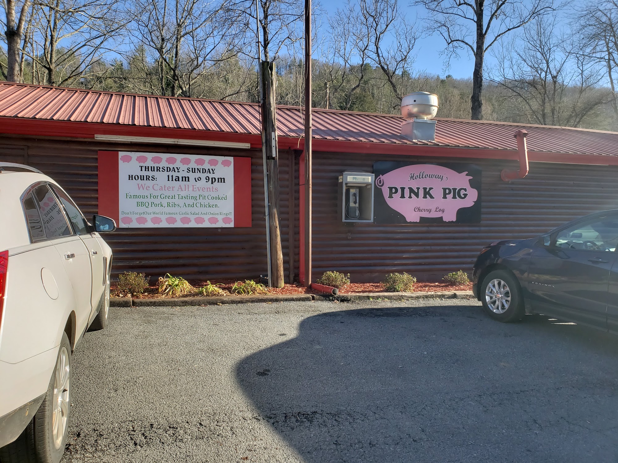 The Pink Pig