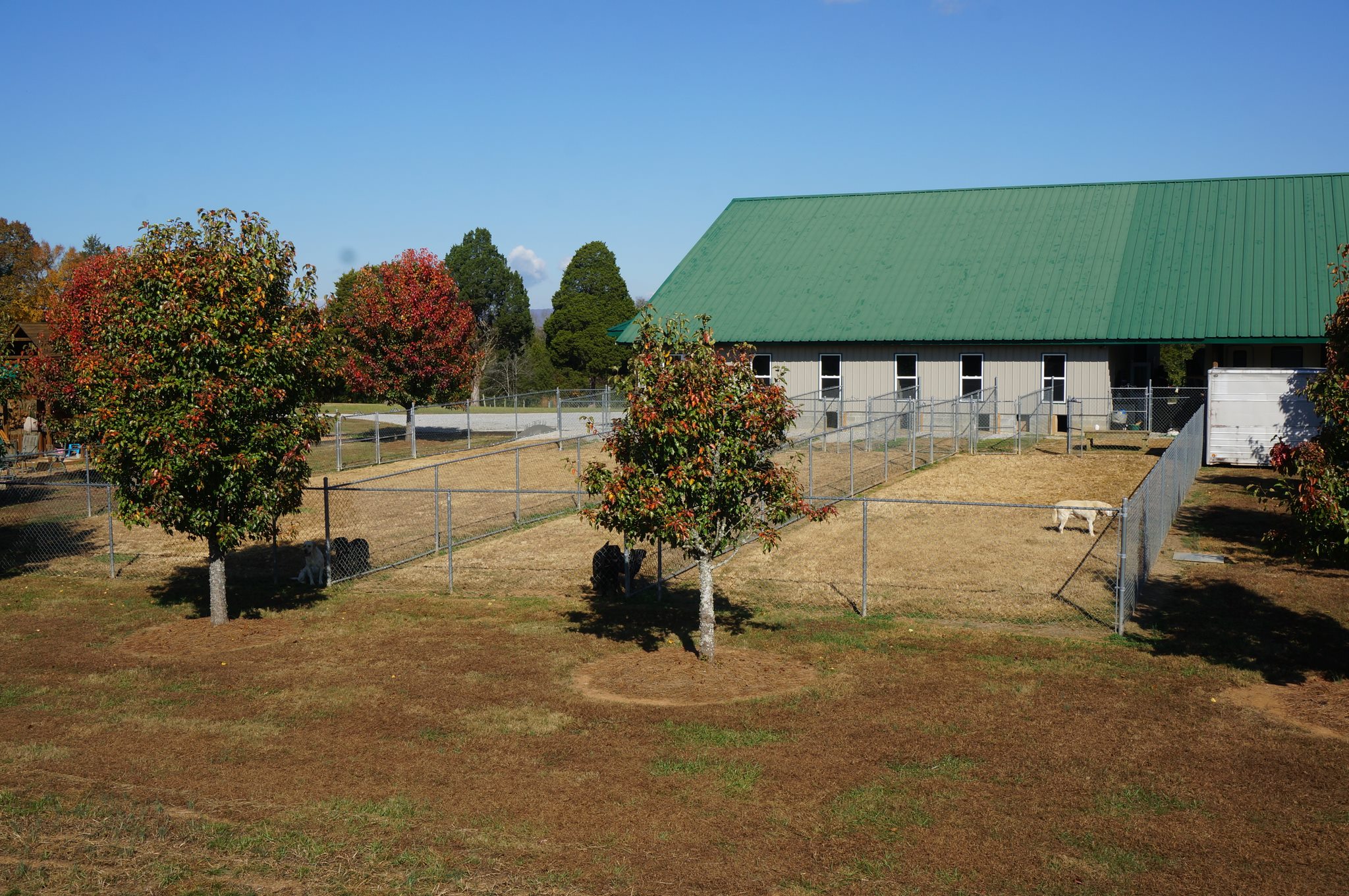 Old Bethel Kennels