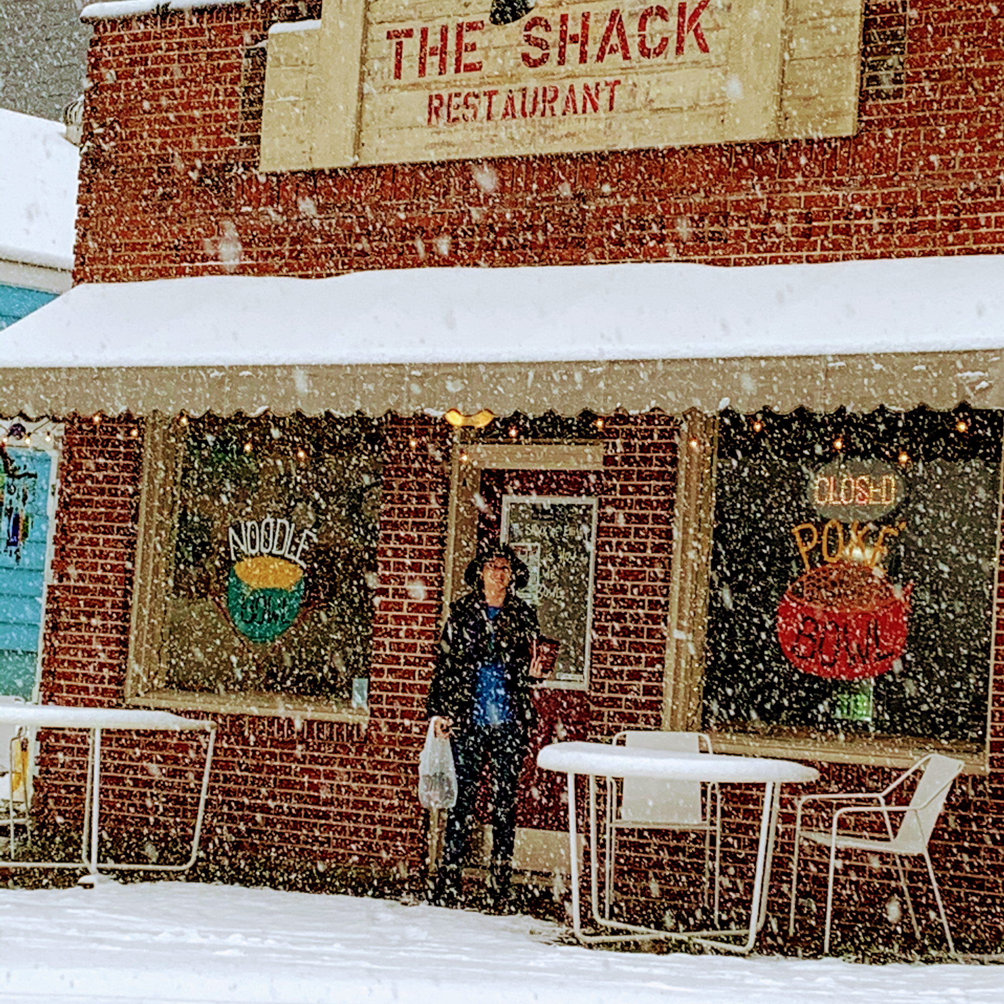 The shack of ellijay