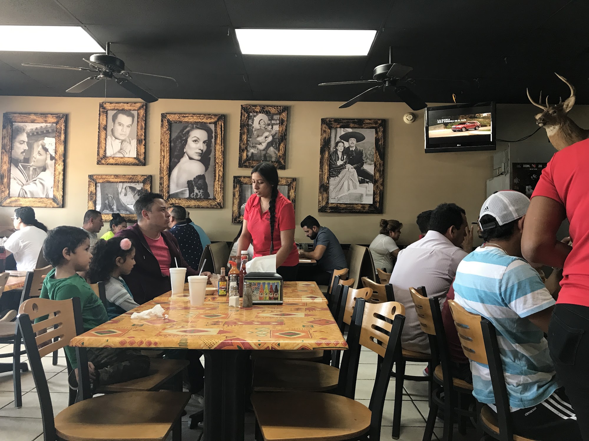 Don Jose Mexican Grill & taqueria