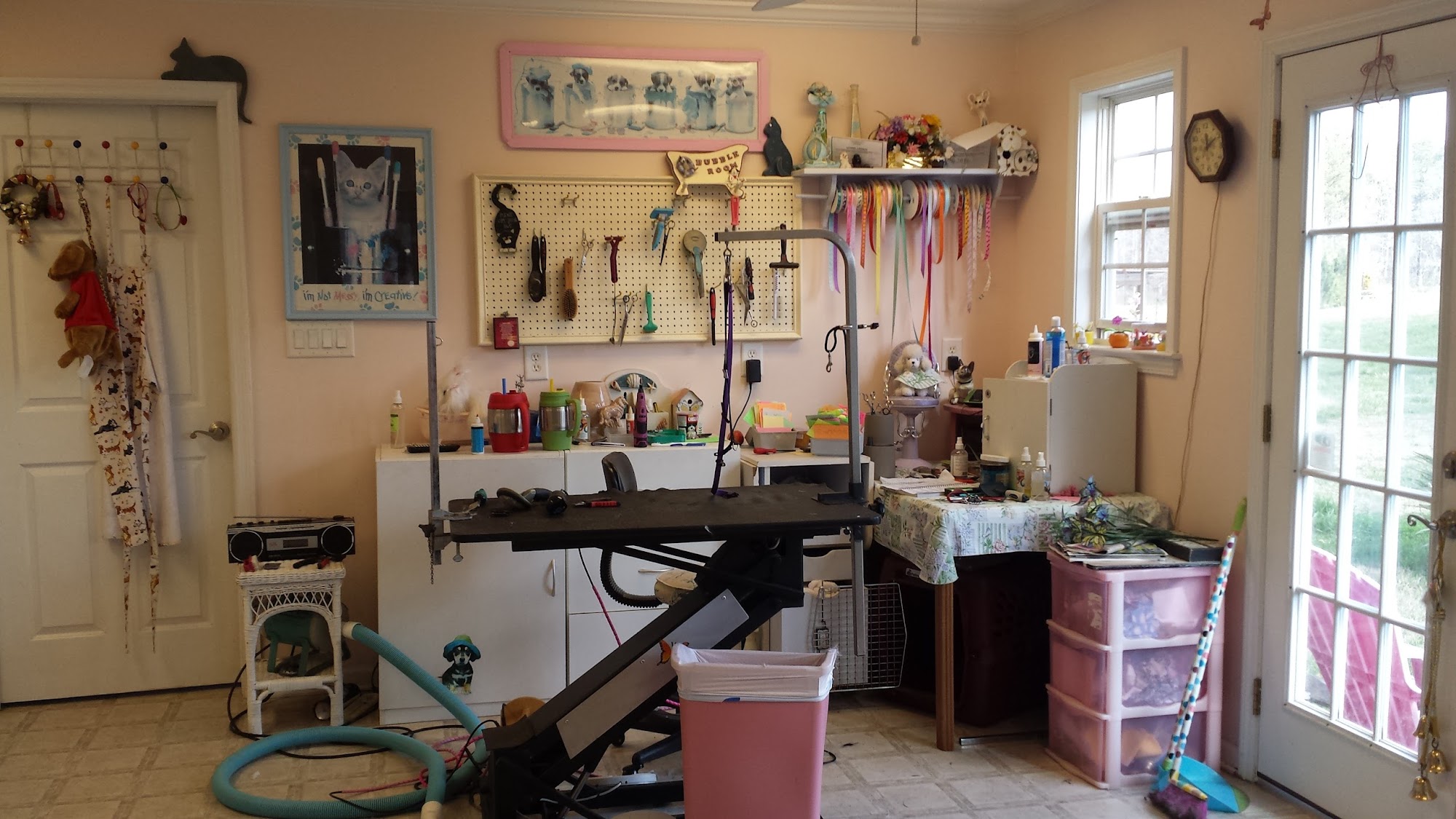 Bubble Room Grooming Senoia