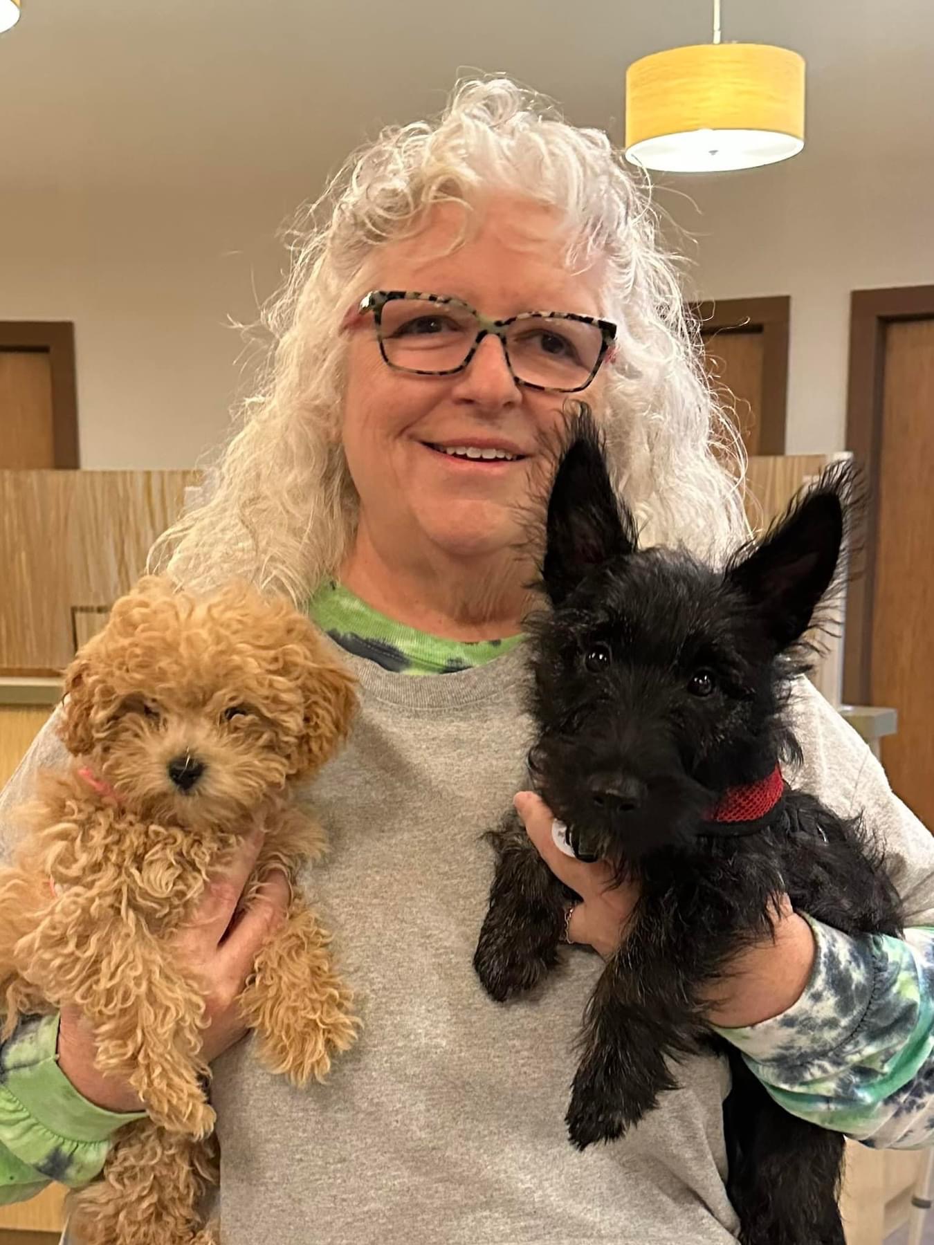 My Best Buddy Dog Training Sharpsburg