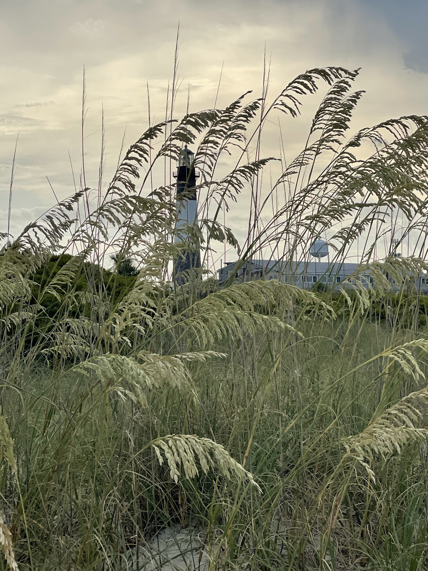 Beach Yoga Tybee 33 Meddin Drive, C/O Box 821 Ann Carroll, Tybee Island Georgia 31328