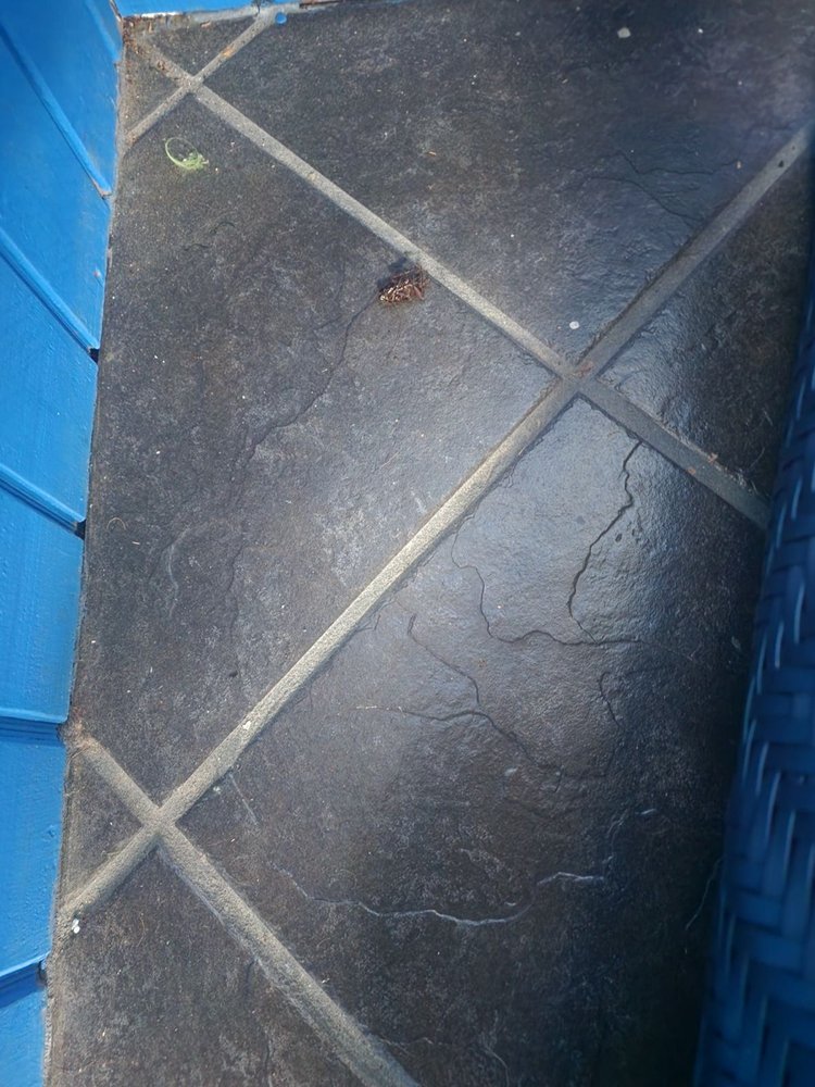 Photo credit: 