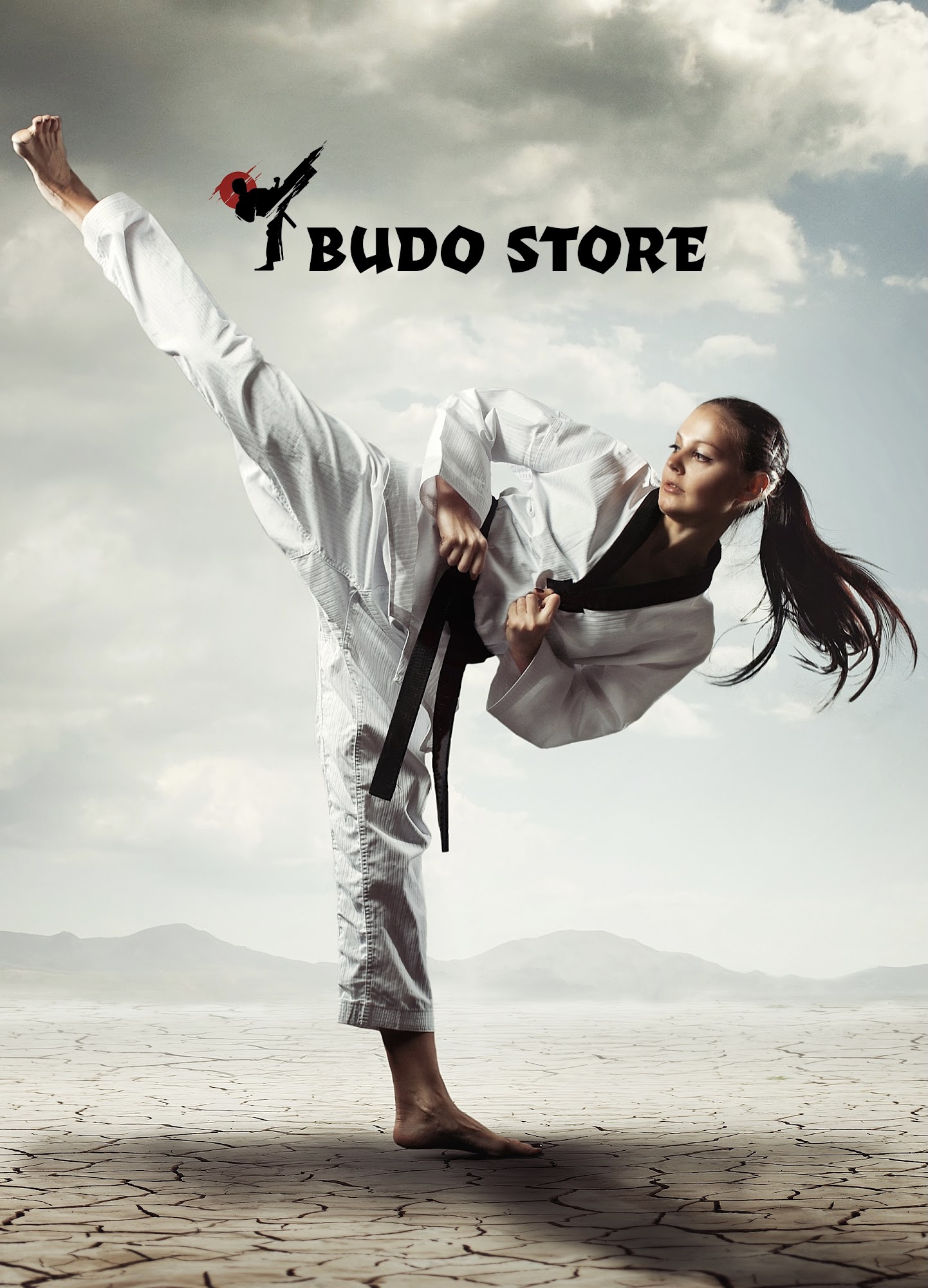 Budo Store