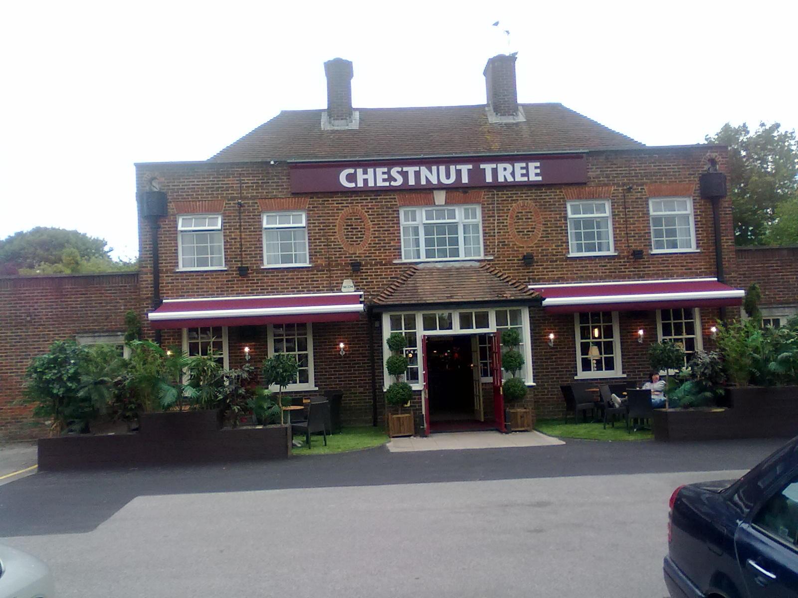 Chestnut Tree 227 Weyhill Rd, Andover