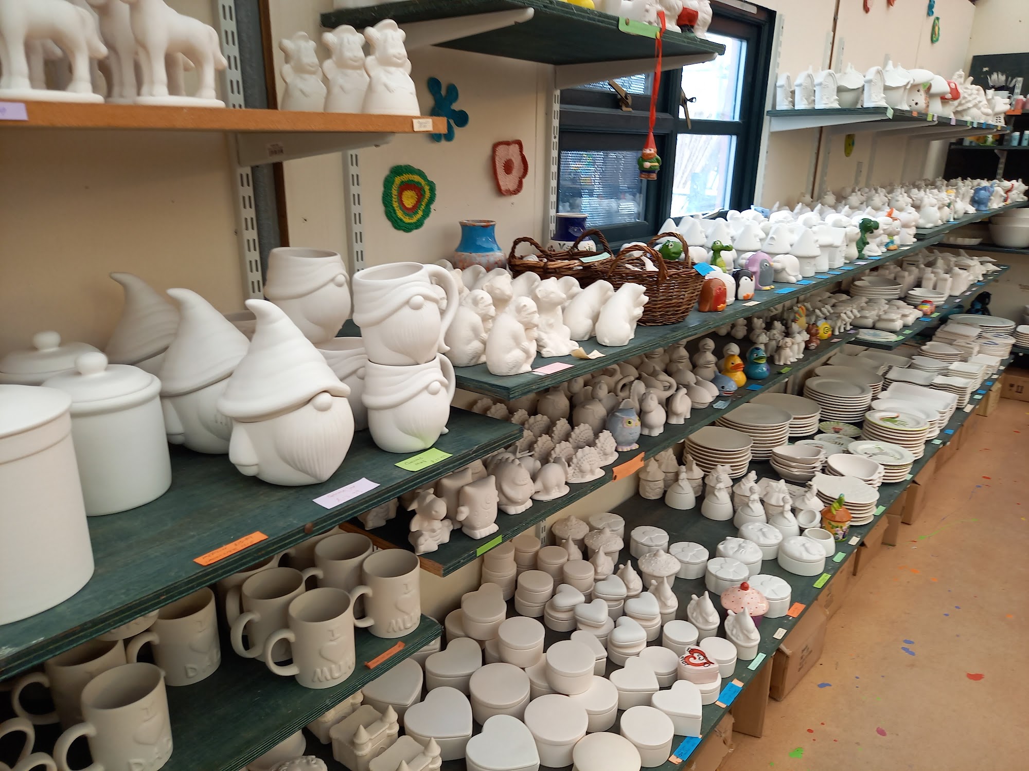 Choice Plants