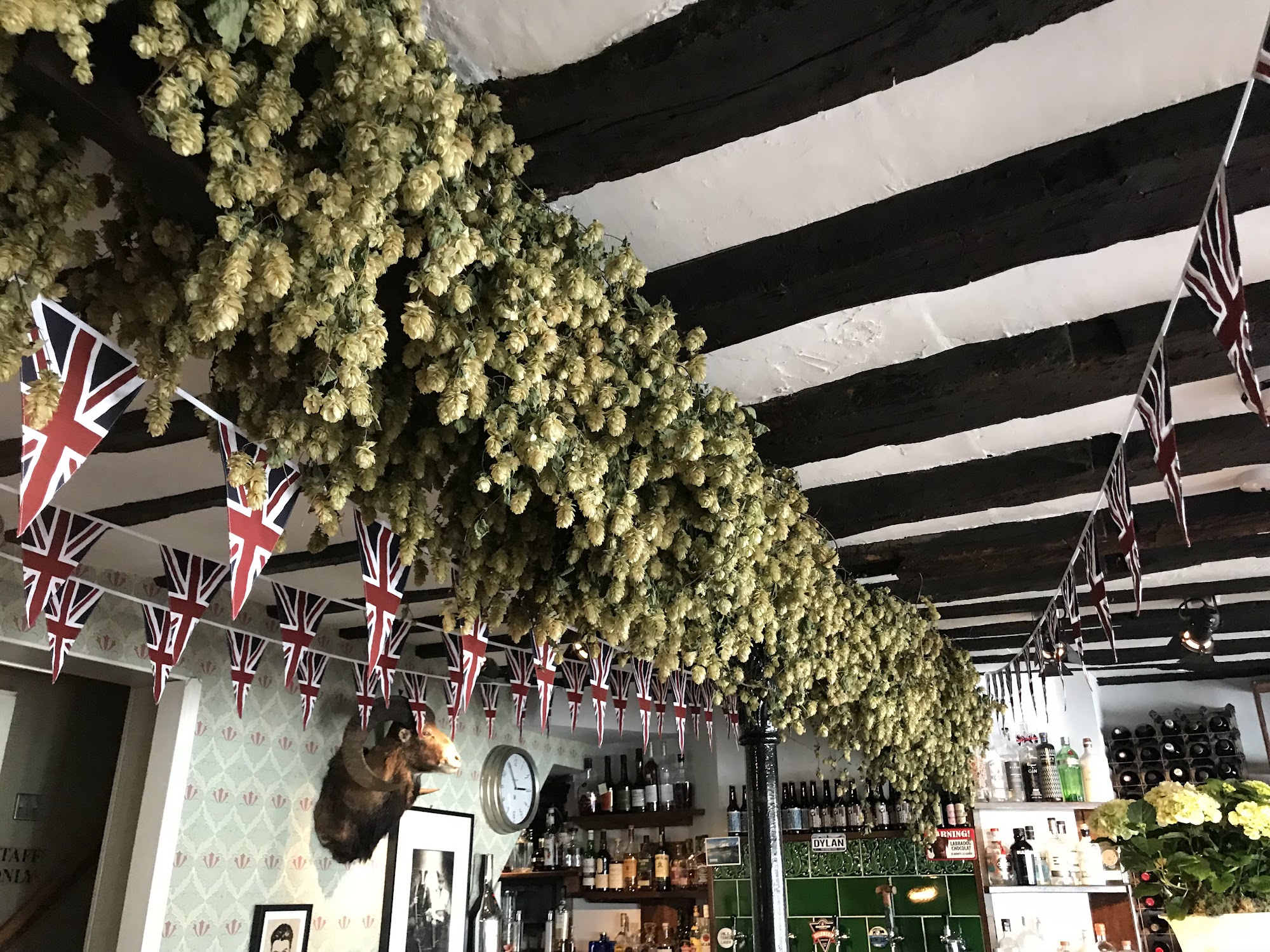Dylans - The Kings Arms 7 George St, St Albans