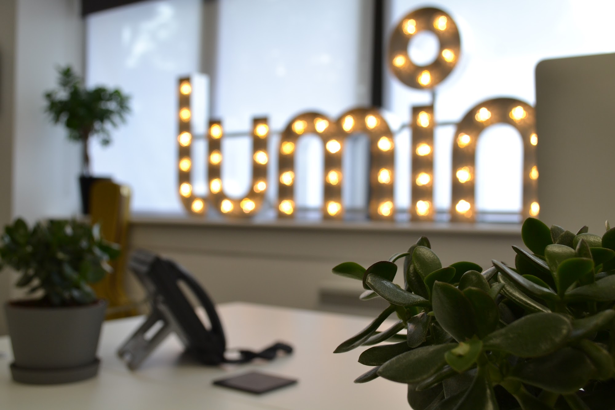 Lumin Wealth