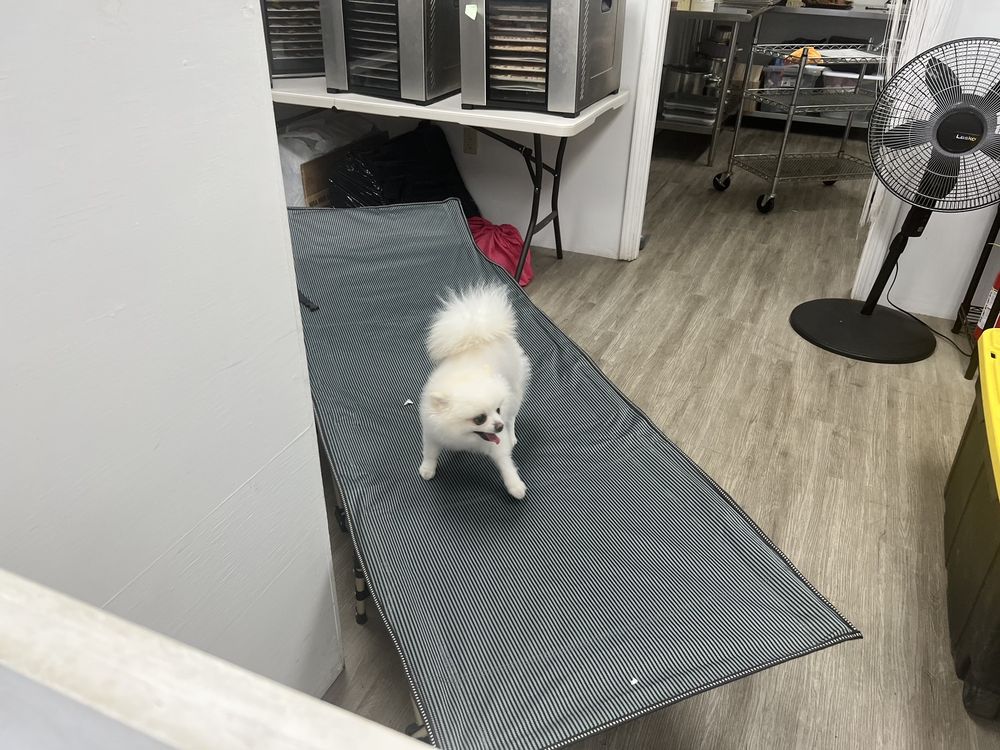 808 Bow Wow Honolulu