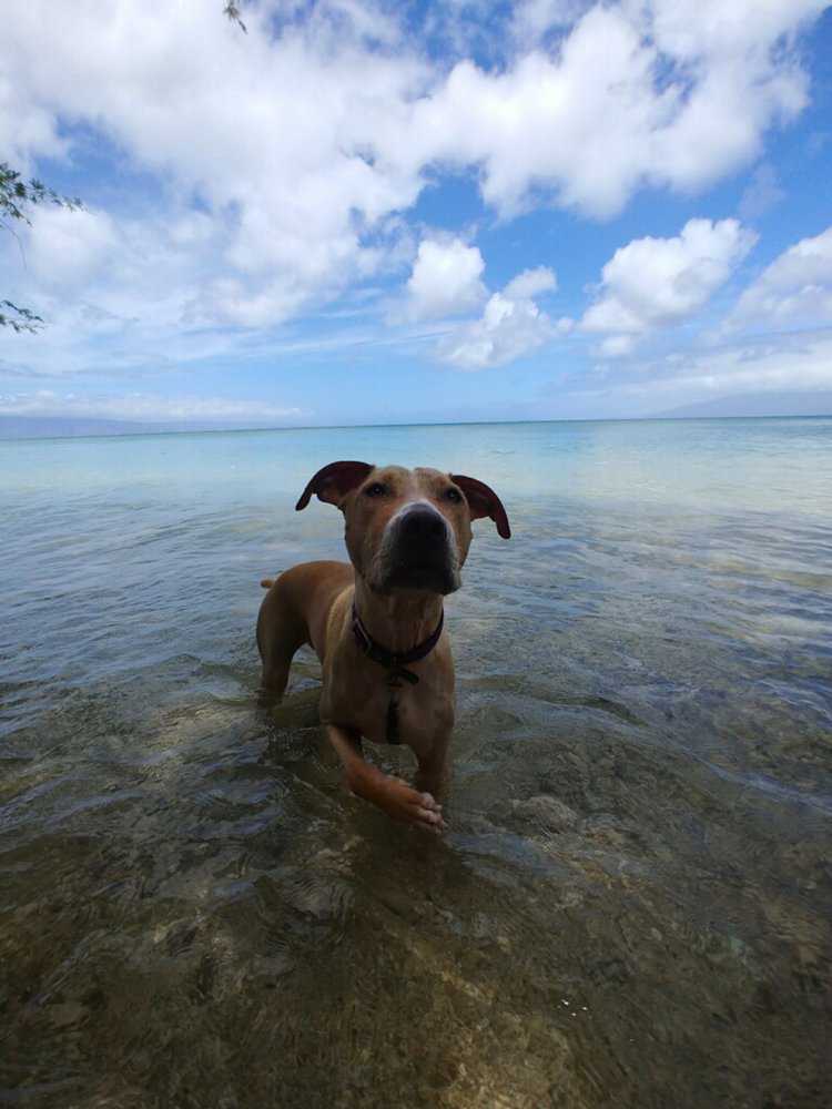 Photo credit: 
