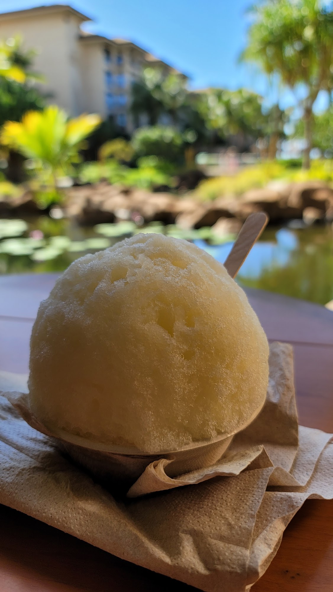 Big Wave Shave Ice Company - Nanea