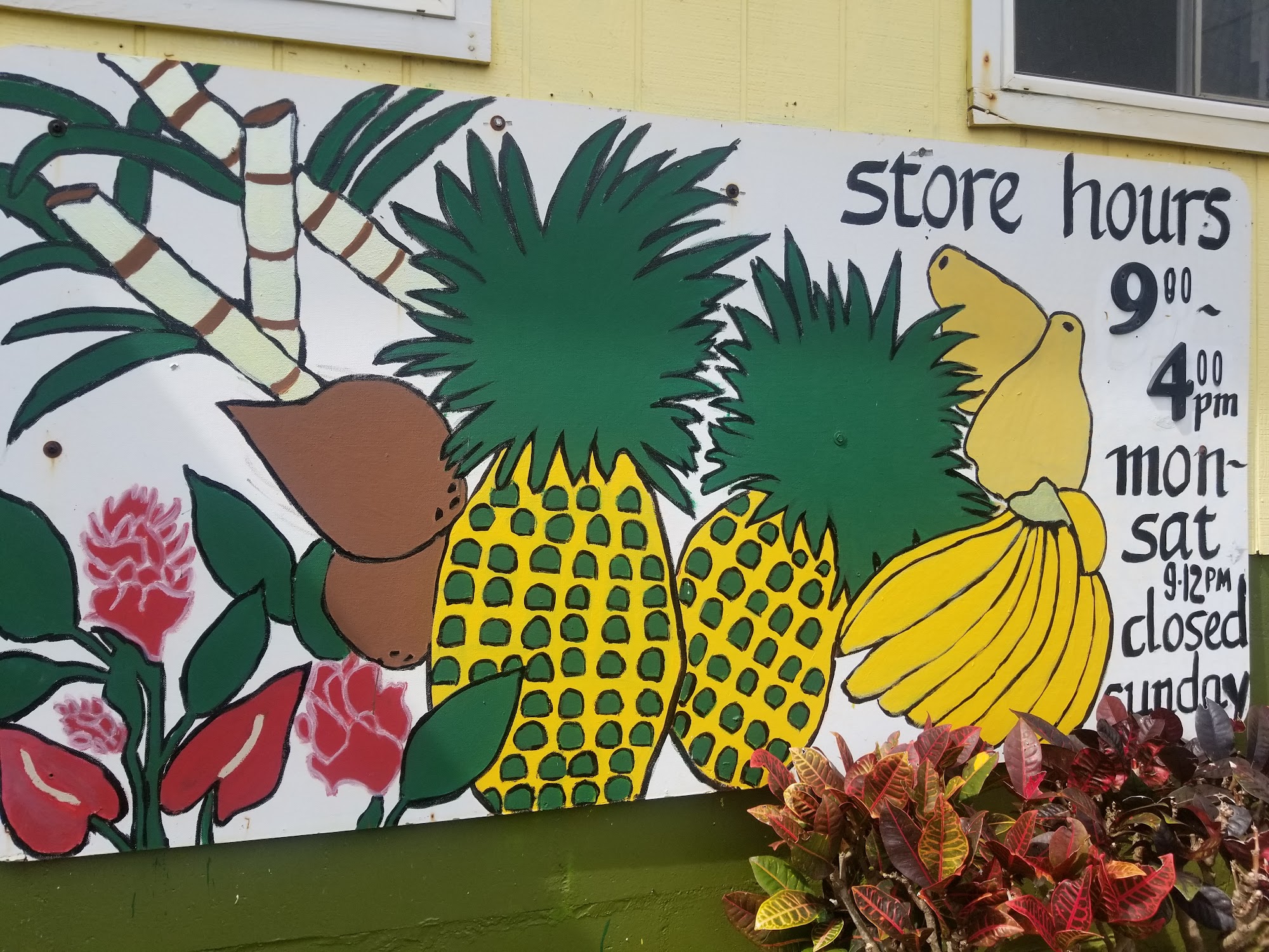 The Pineapple Store