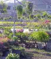 Leilani Nursery Inc