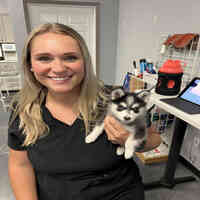 Heartland Animal Hospital Cedar Rapids