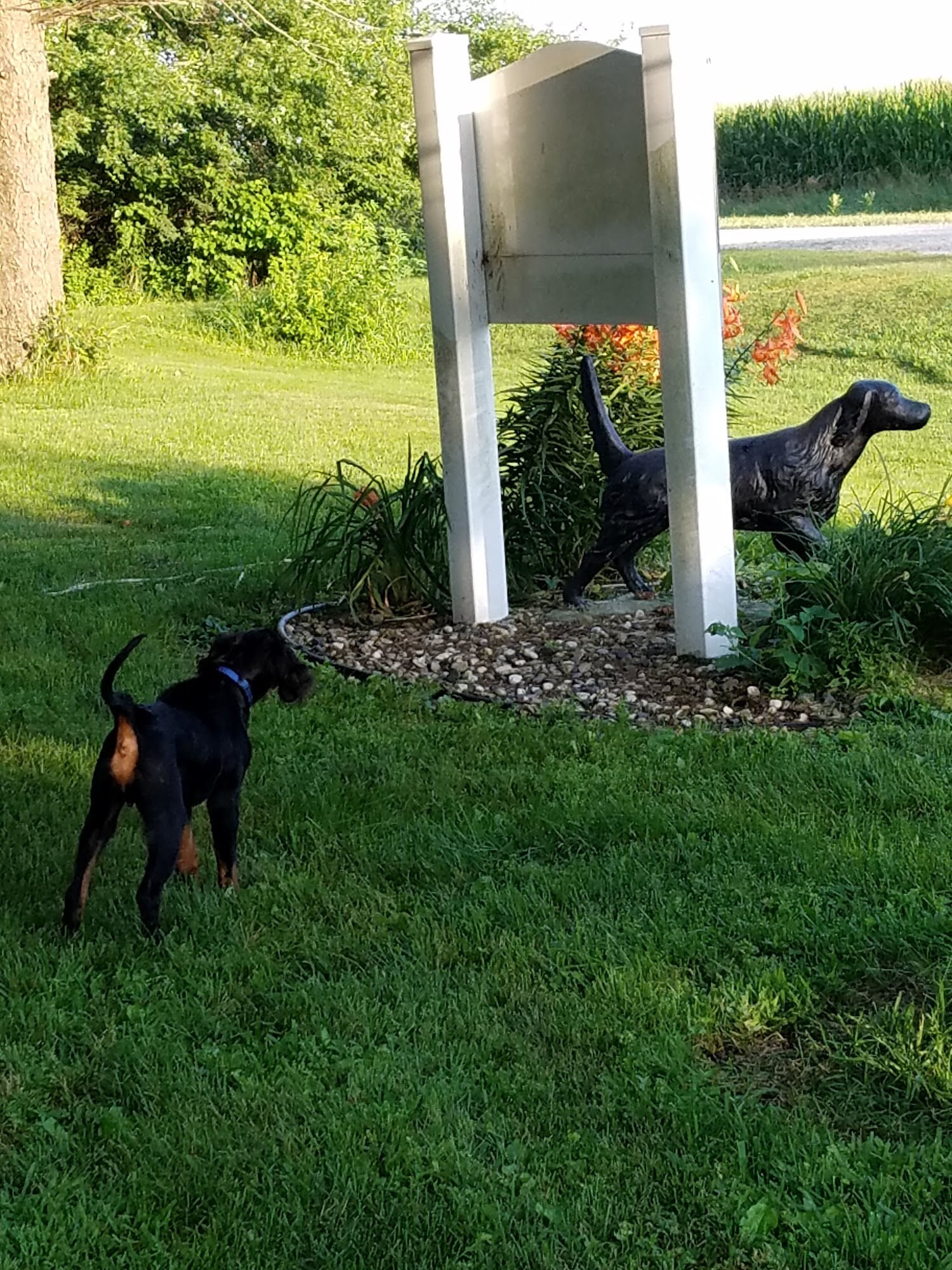 Prairie Star Kennels Clear Lake
