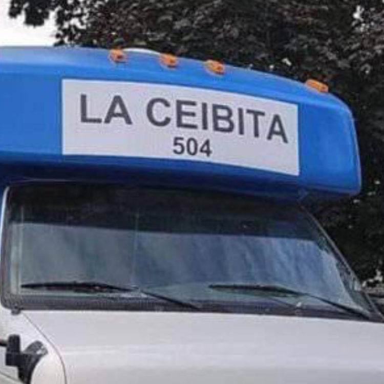 La ceibita 504